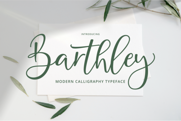 Barthley: A Stylish Script Font for Elegant Design