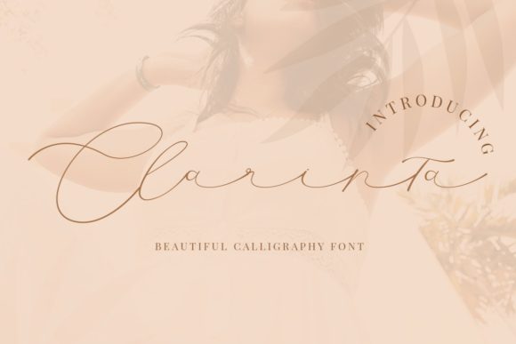 Clarinta: A Font for Clear Campaigns
