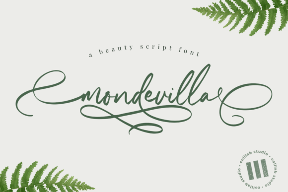 Mondevilla Font: Elegant Script for Business