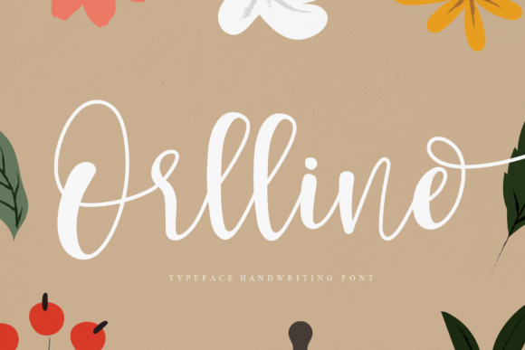 Orlline: A Beautiful Script Font for Business