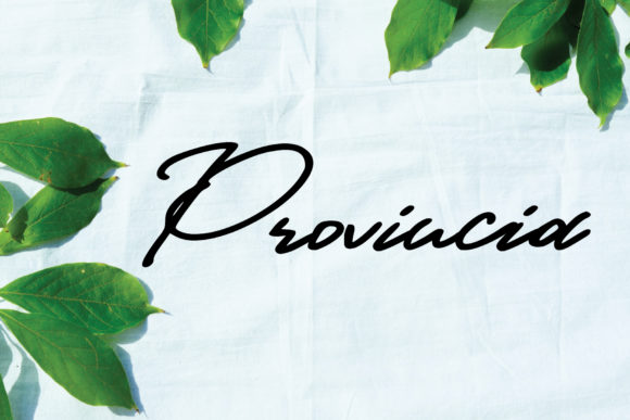 Provincia: A Handwritten Font for Elegant Design