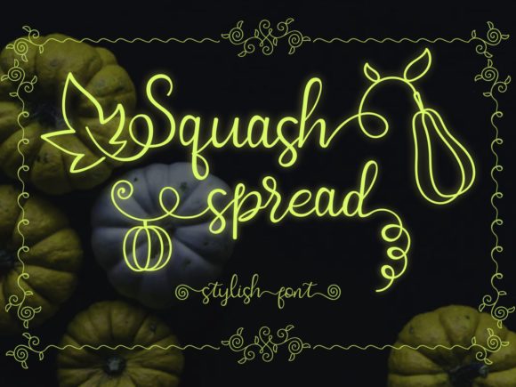 Squash Spread Font for Web Design