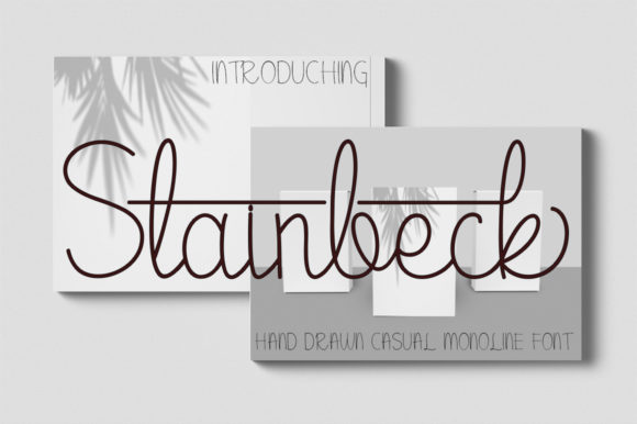 Stainbeck: A Delicate Script Font